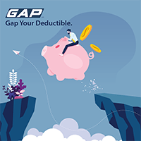 Gap Basic Plan