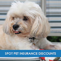 Discounts on SPOT Pet Insurance