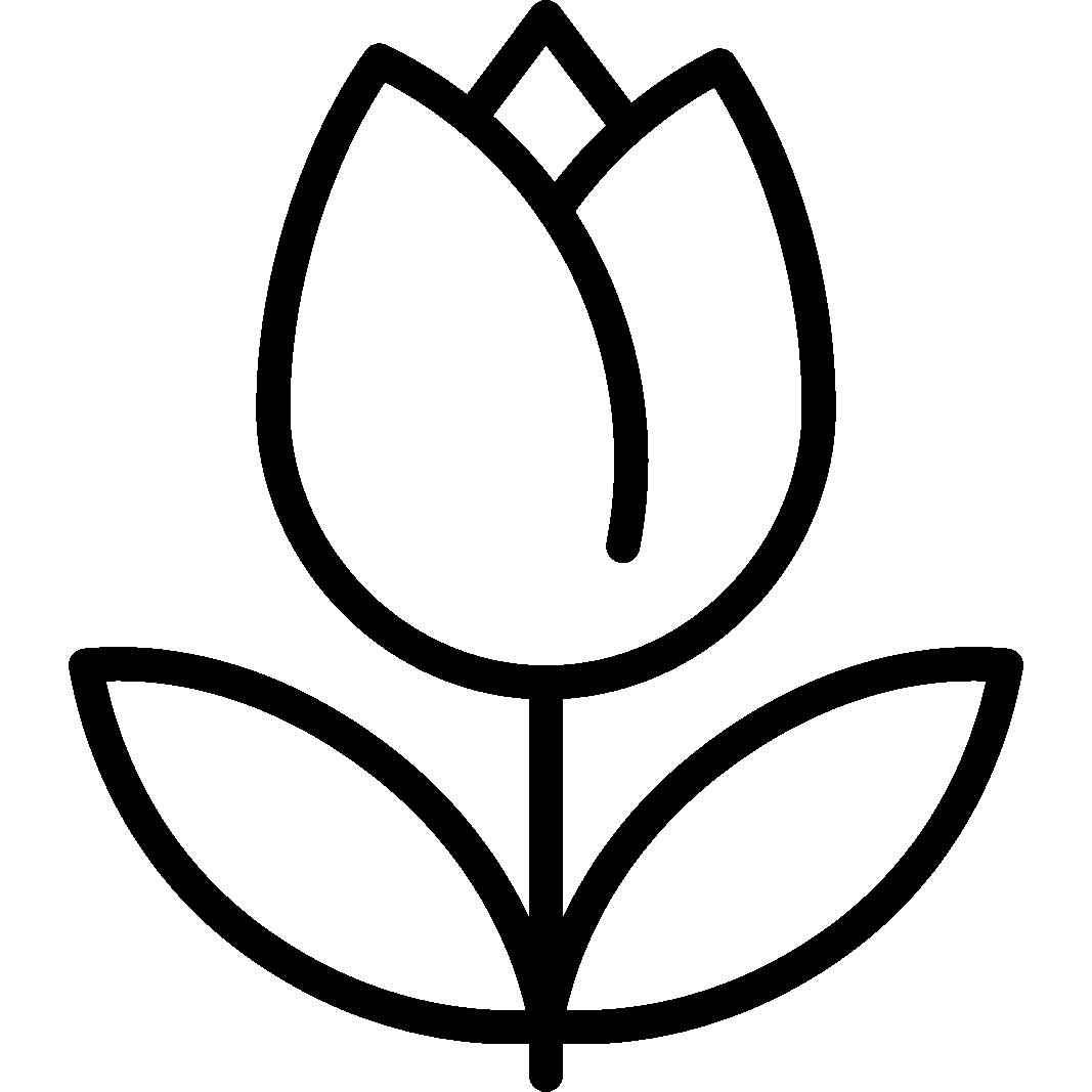 Term Life Icon